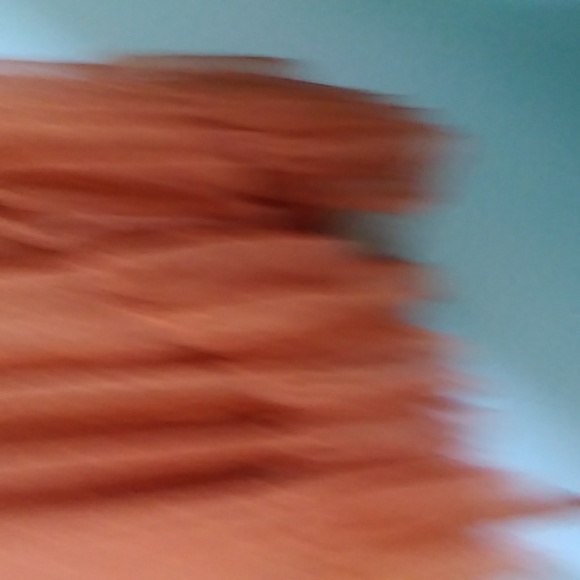 Wax Poetic Isabell Dot Mesh Dress SOLD OUT - Picture 7 of 10